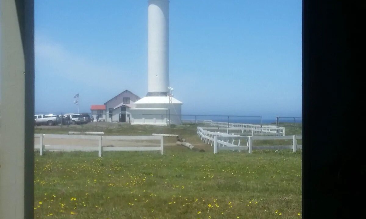 Photo of Others in Point Arena