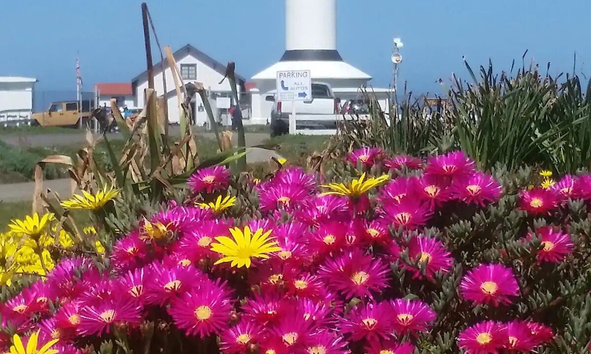 Photo of Outdoor in Point Arena