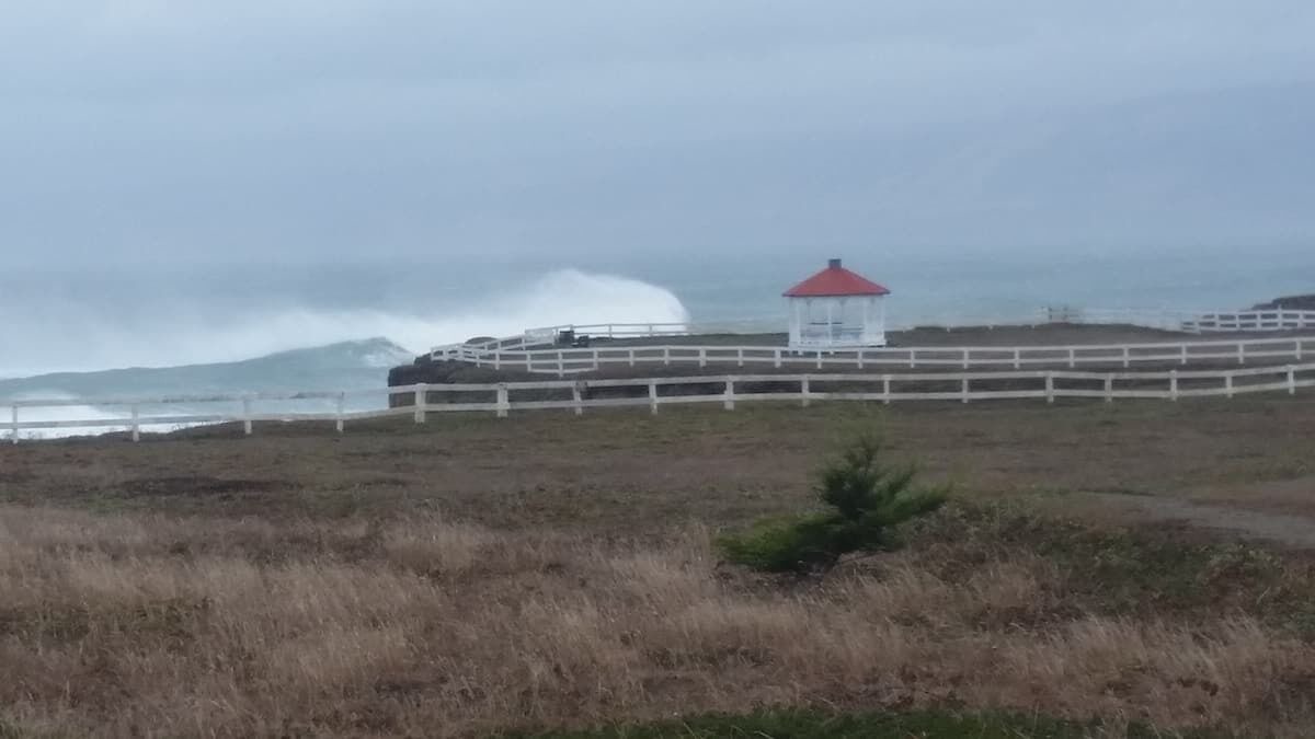 Photo of Outdoor in Point Arena