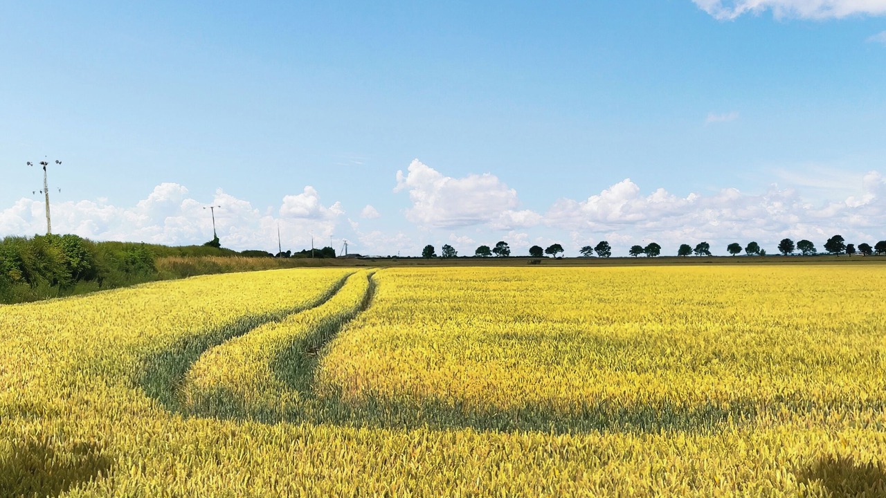 Photo of Others in Winestead