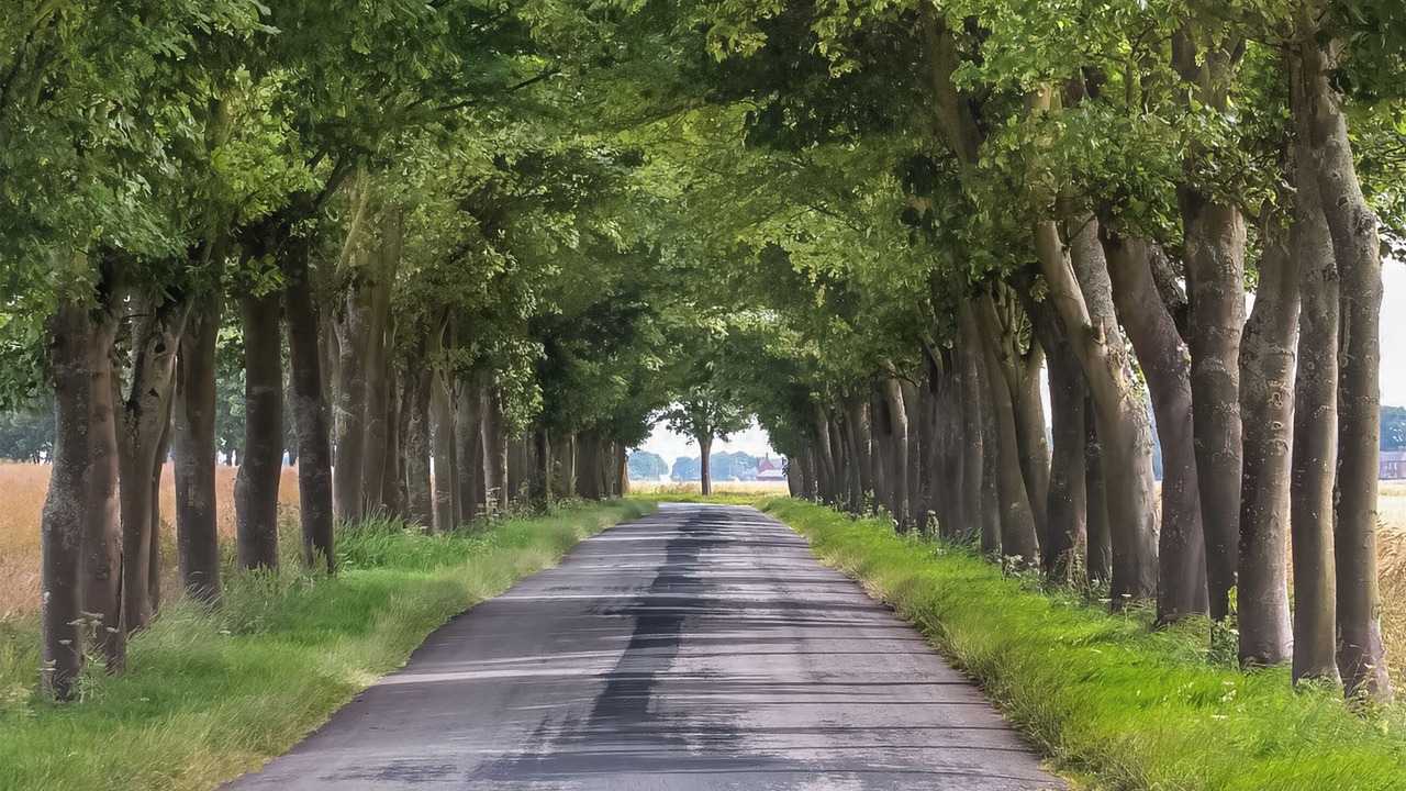 Photo of Others in Winestead