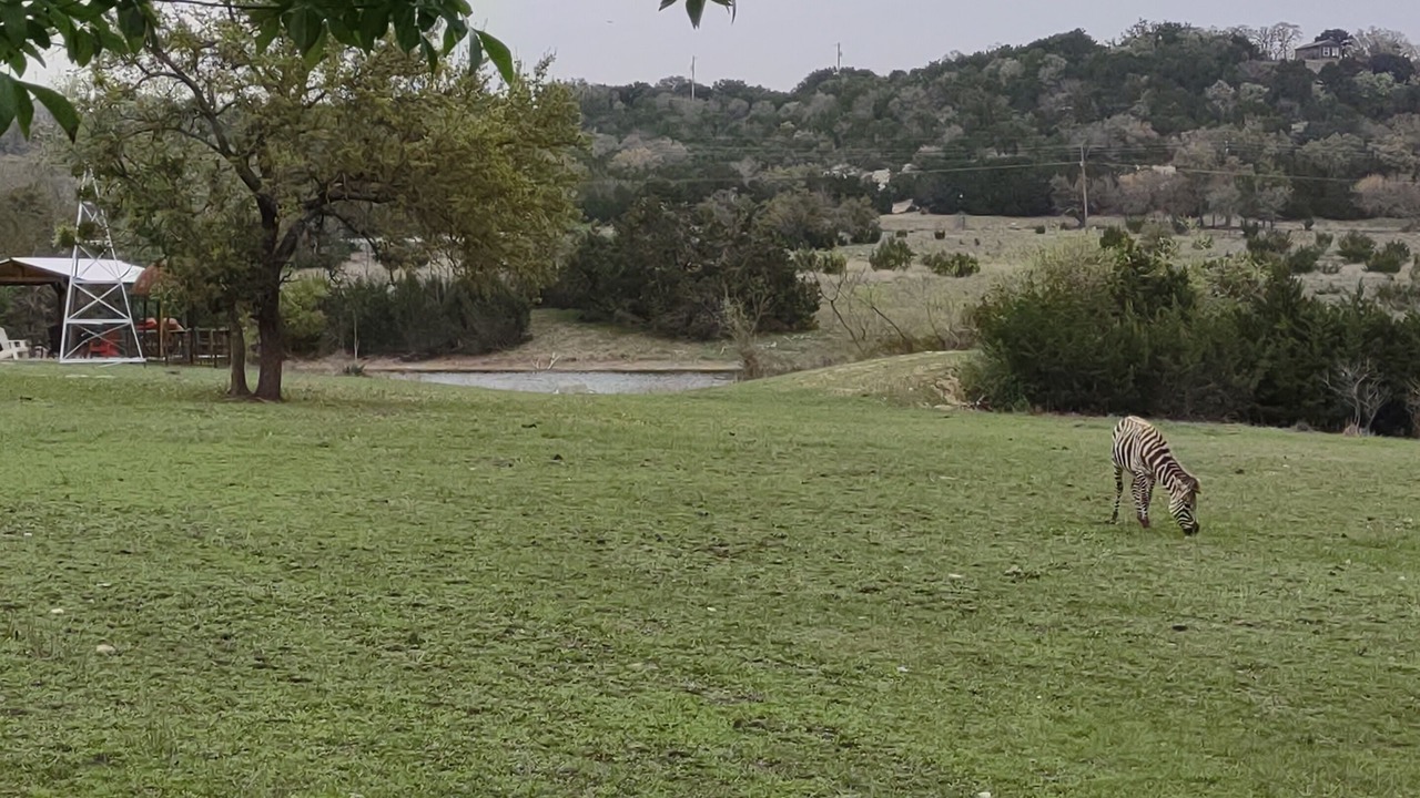 Photo of Others in Clifton