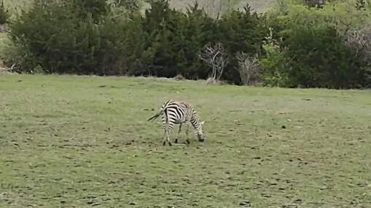 Photo of Others in Clifton
