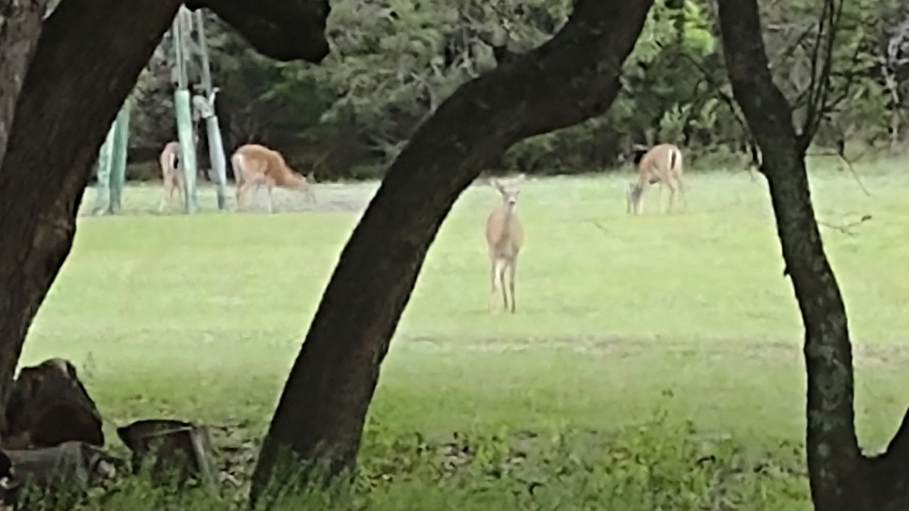 Photo of Others in Clifton