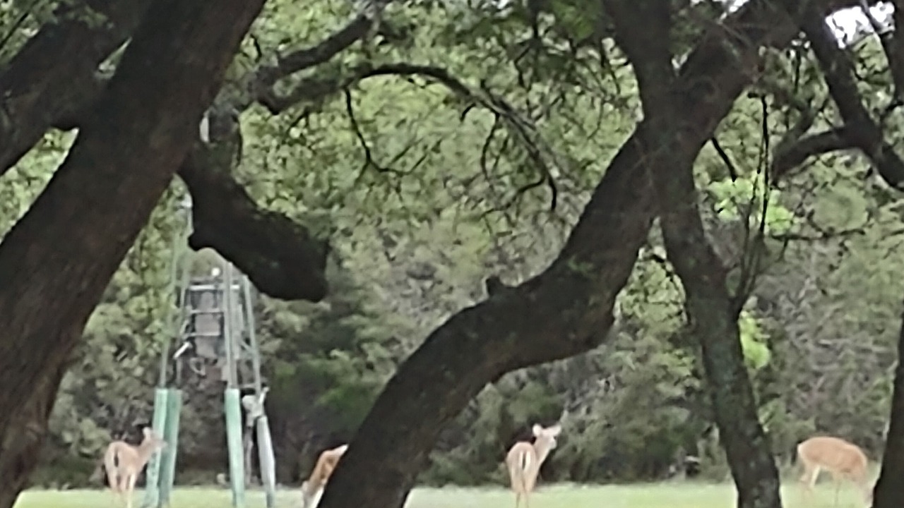 Photo of Others in Clifton