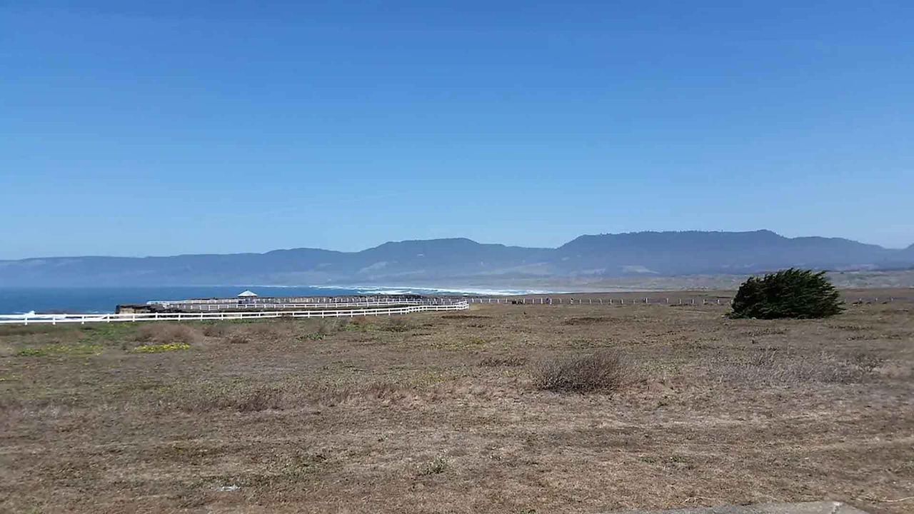 Photo of Outdoor in Point Arena