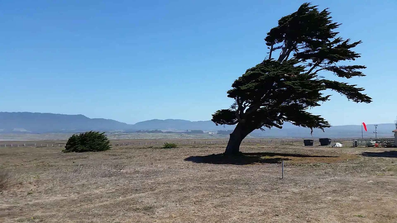 Photo of Bedroom in Point Arena