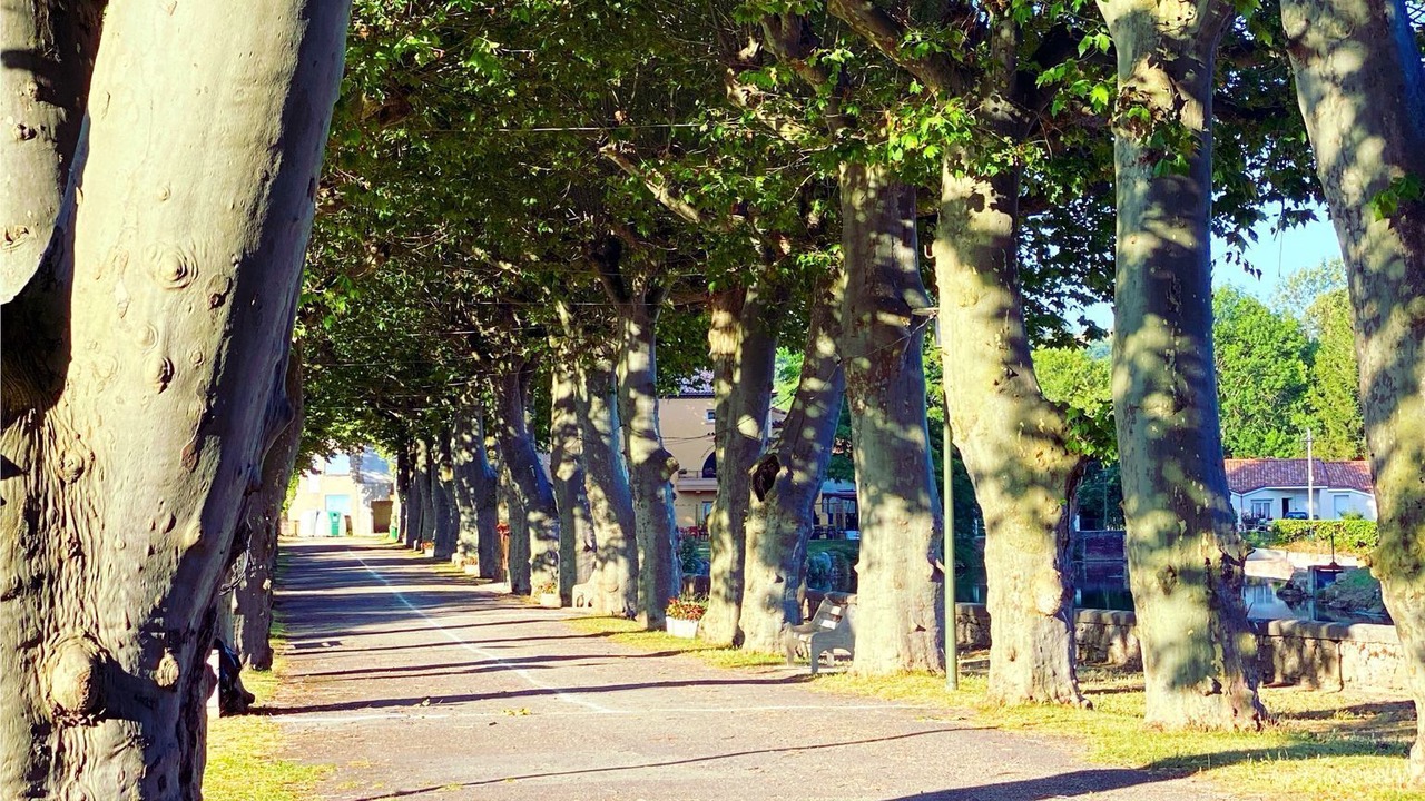 Photo of Outdoor in La Bastide-sur-l'Hers