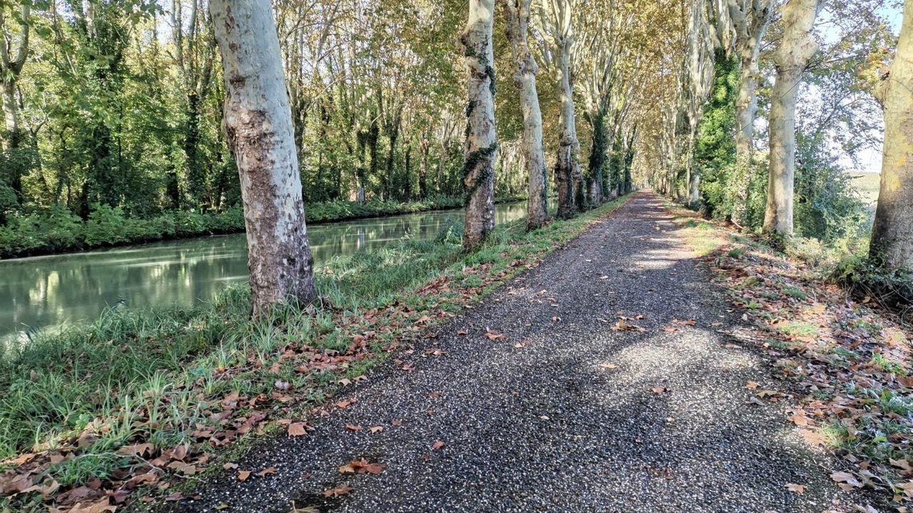 Photo of Outdoor in Damazan