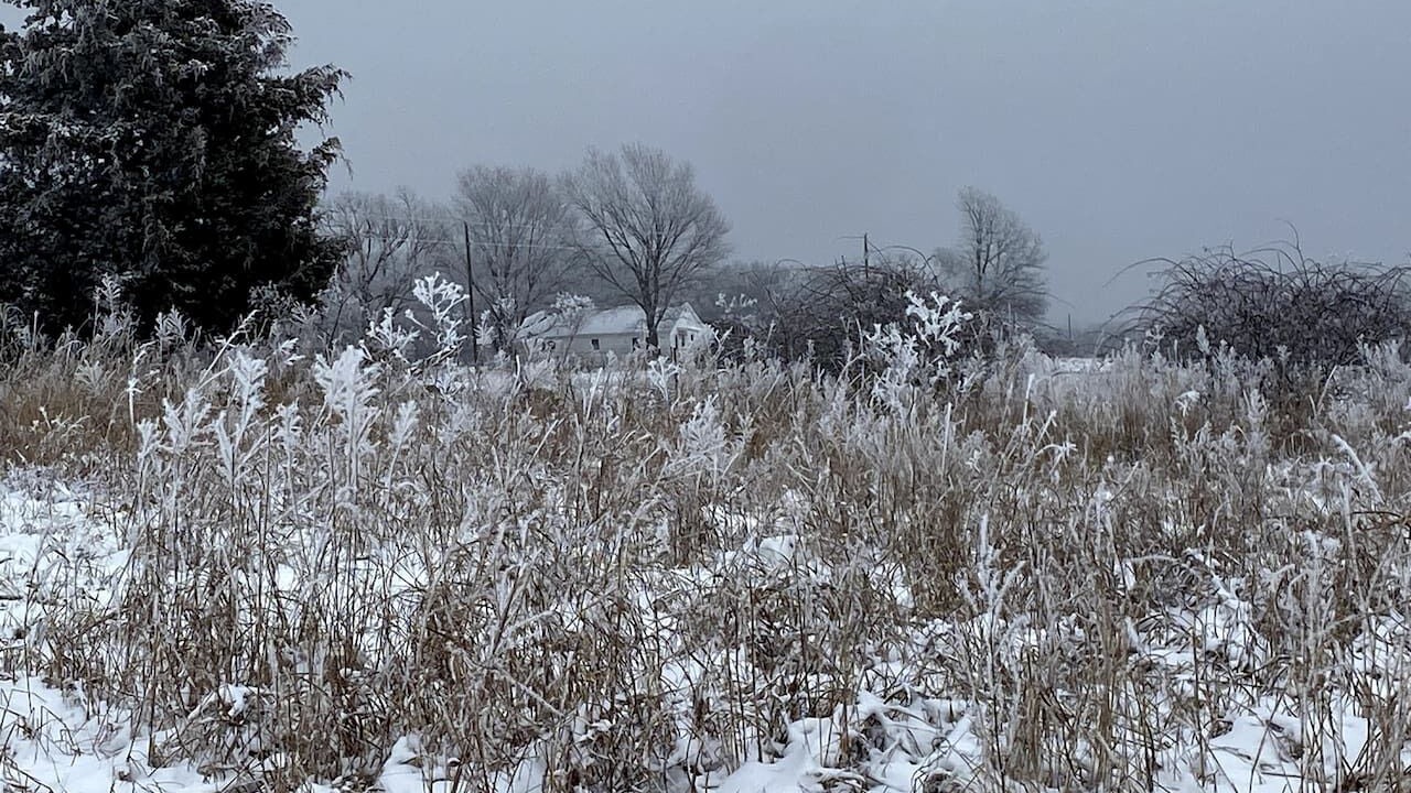 Photo of Outdoor in Maysville