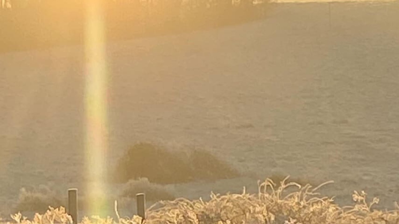 Photo of Outdoor in Maysville