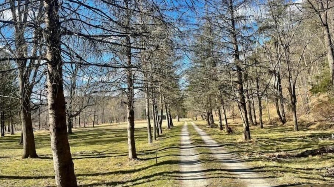Photo of Outdoor in Hancock