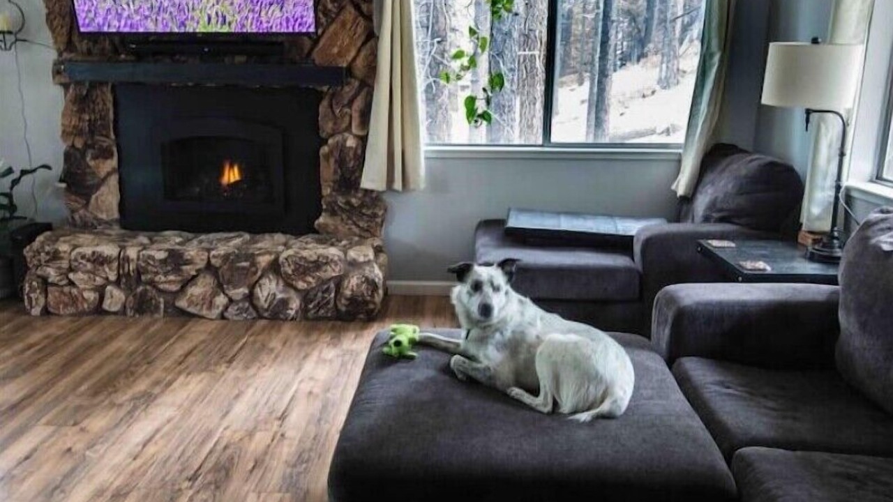 Photo of Livingroom in Country Club Estates