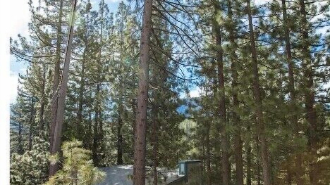 Photo of Outdoor in Country Club Estates