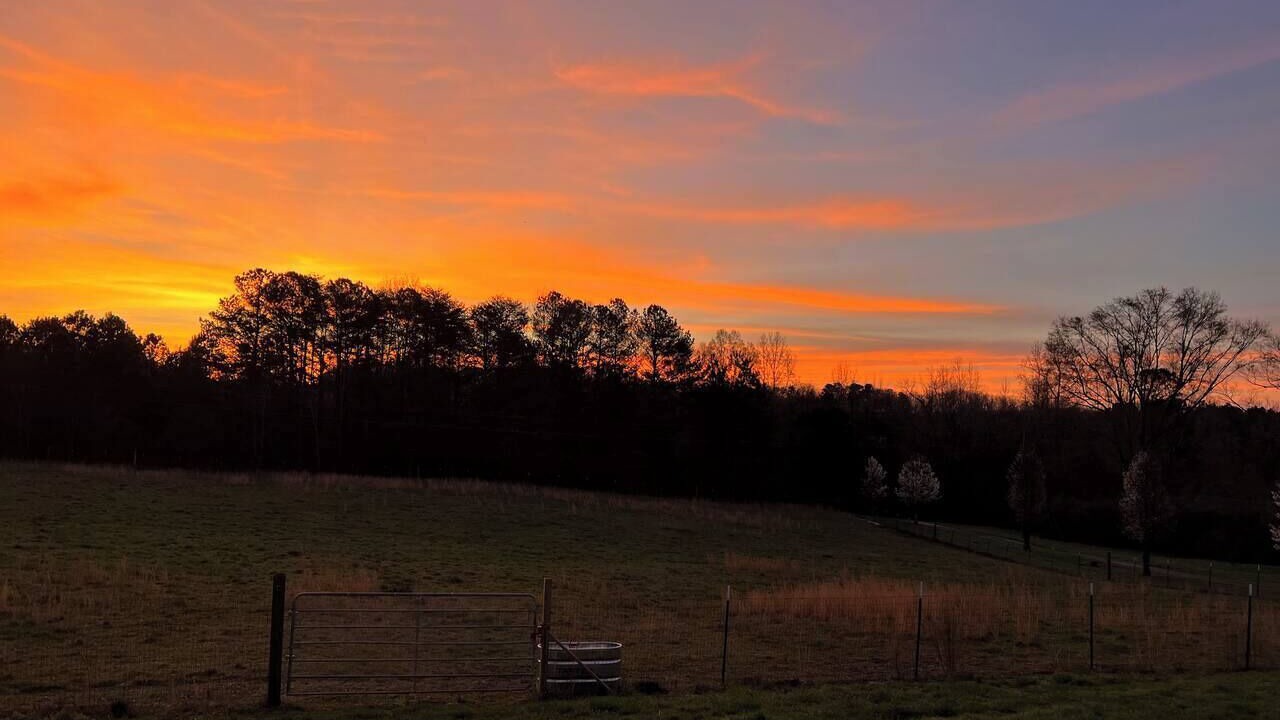 Photo of Others in LaFayette