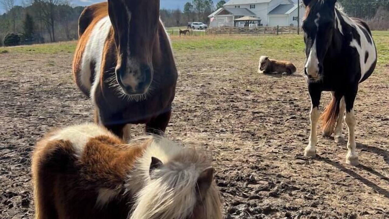 Photo of Others in LaFayette