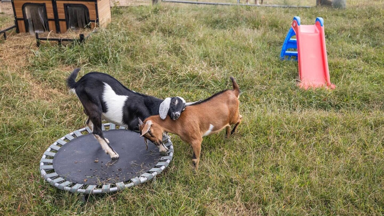 Photo of Others in LaFayette