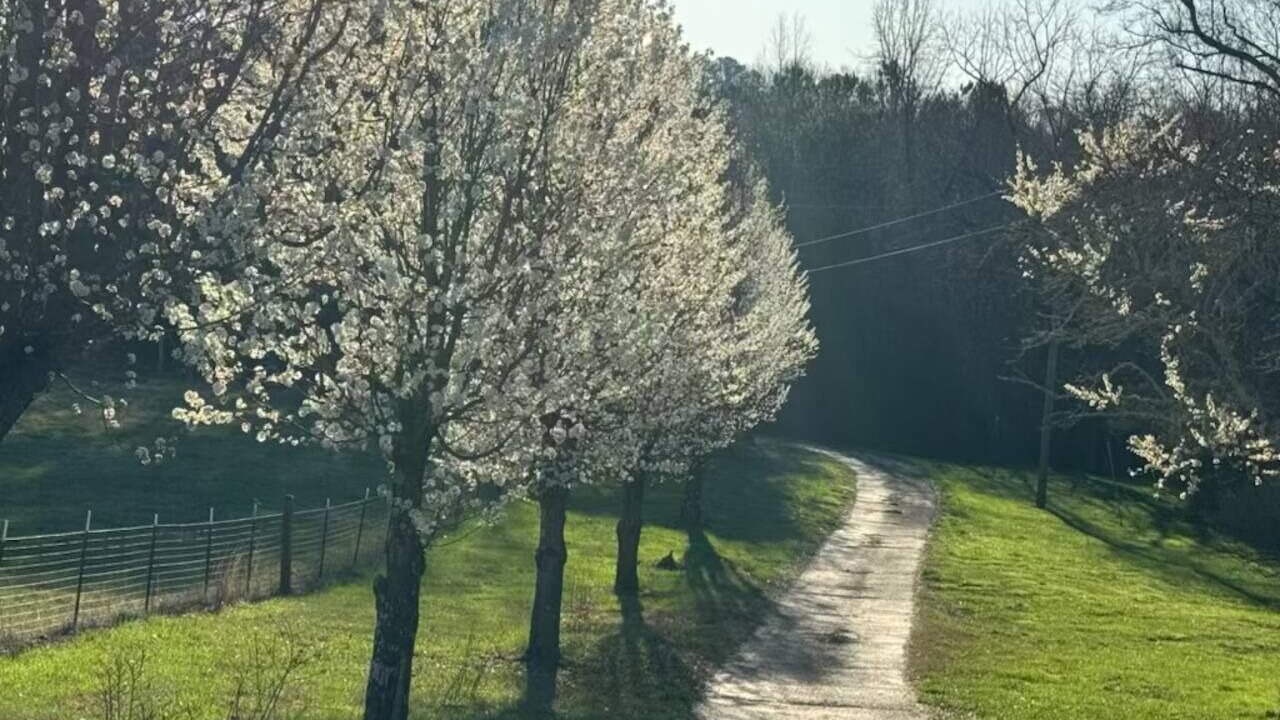 Photo of Others in LaFayette