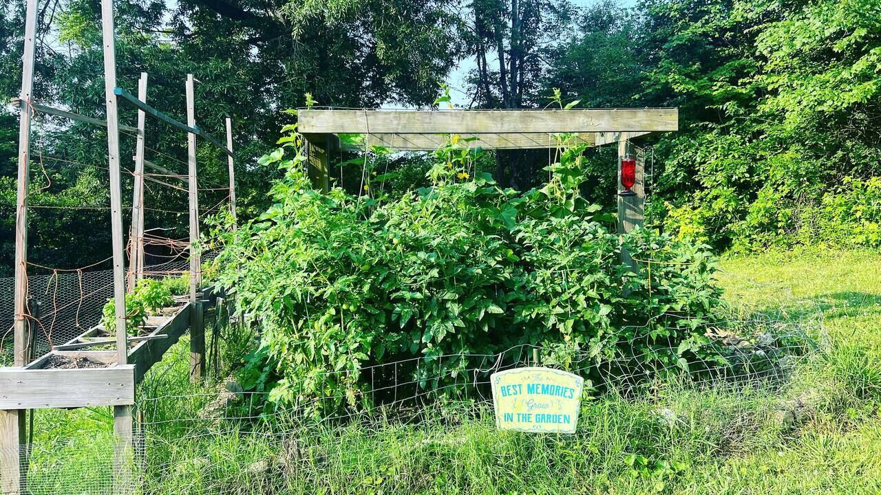 Photo of Others in LaFayette