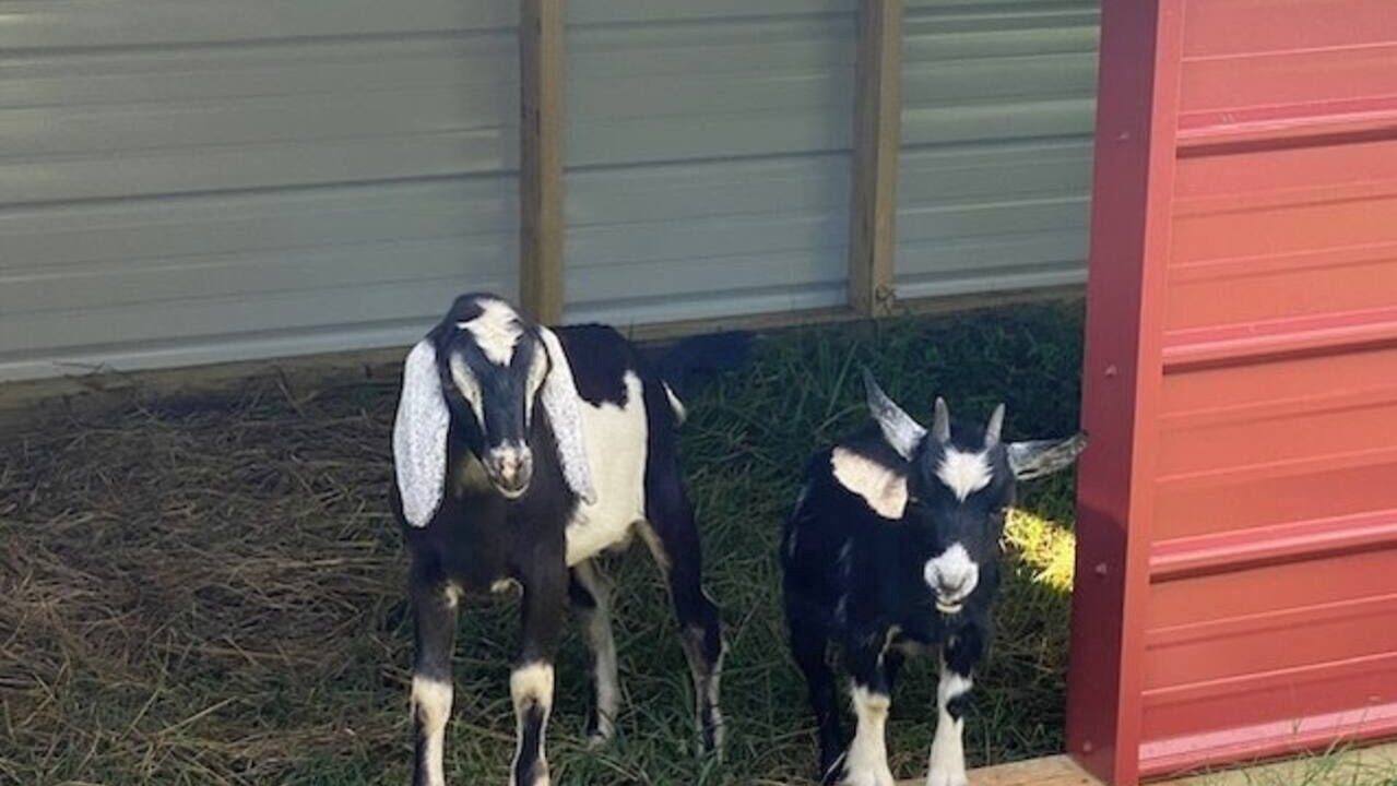 Photo of Others in LaFayette