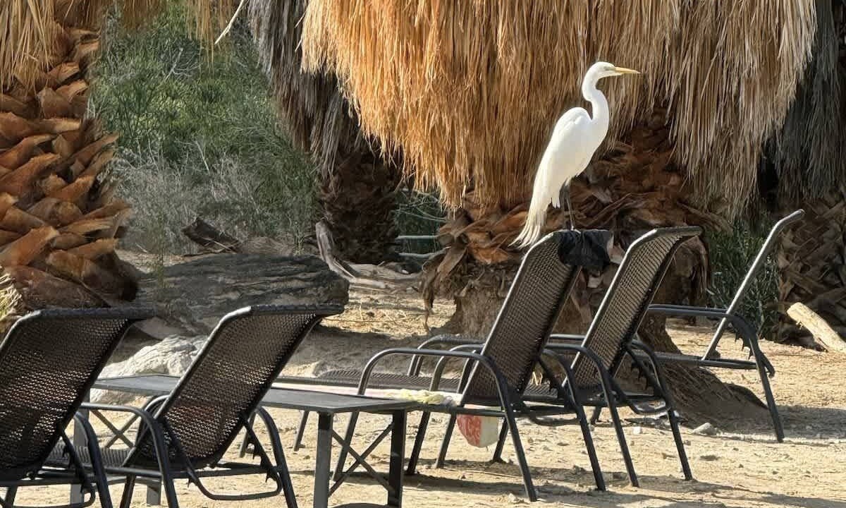Photo of Outdoor in Desert Hot Springs