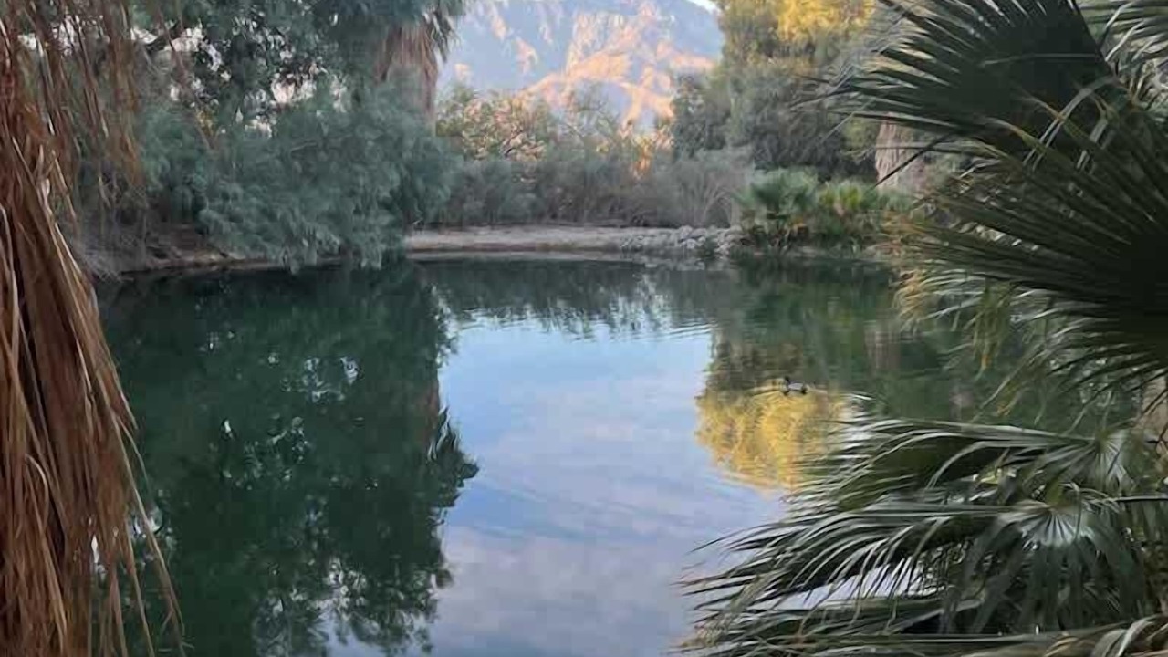 Photo of Others in Desert Hot Springs