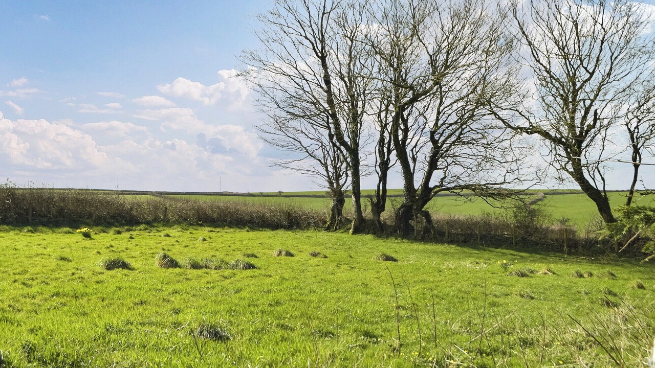 Photo of Others in Llanybri