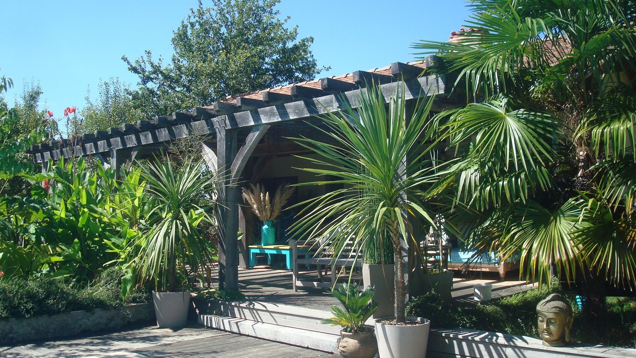 Photo of Outdoor in Lacquy