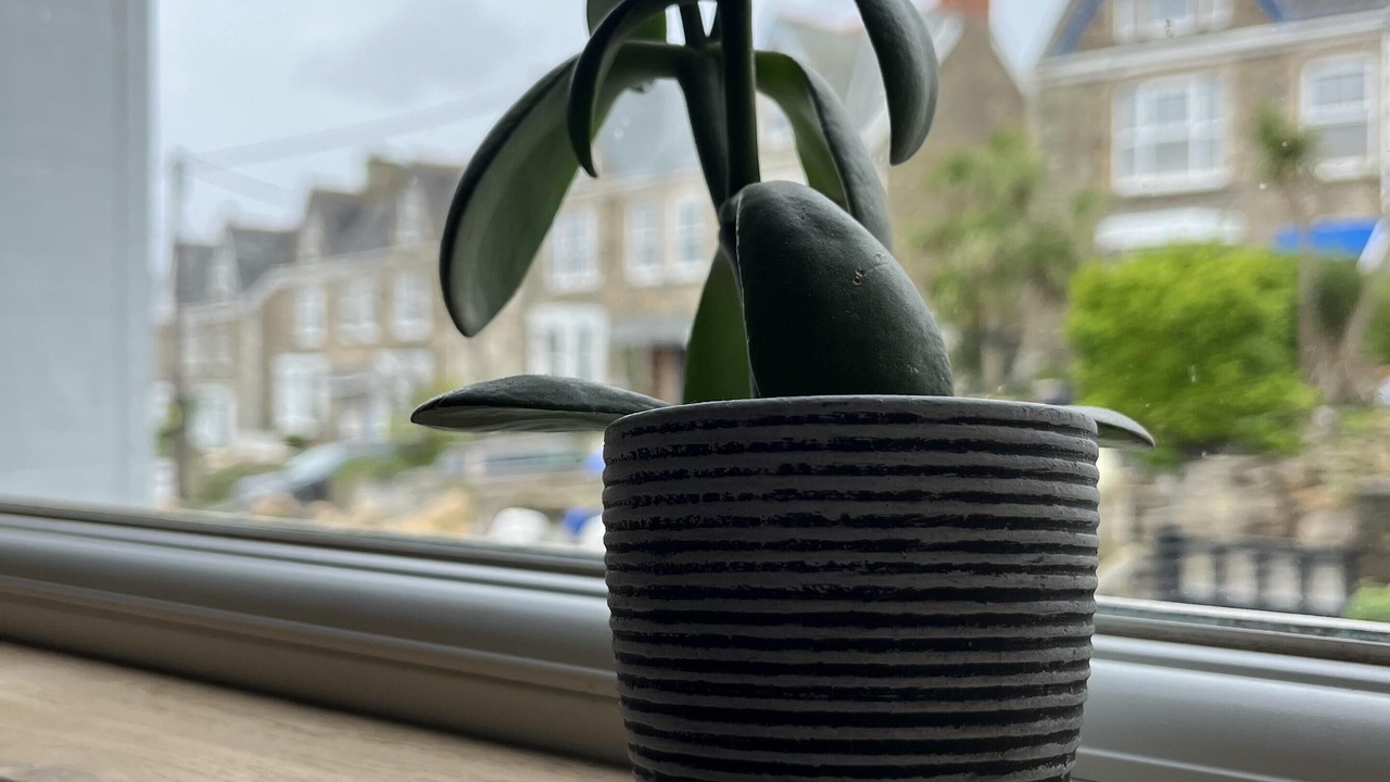 Photo of Others in Perranporth