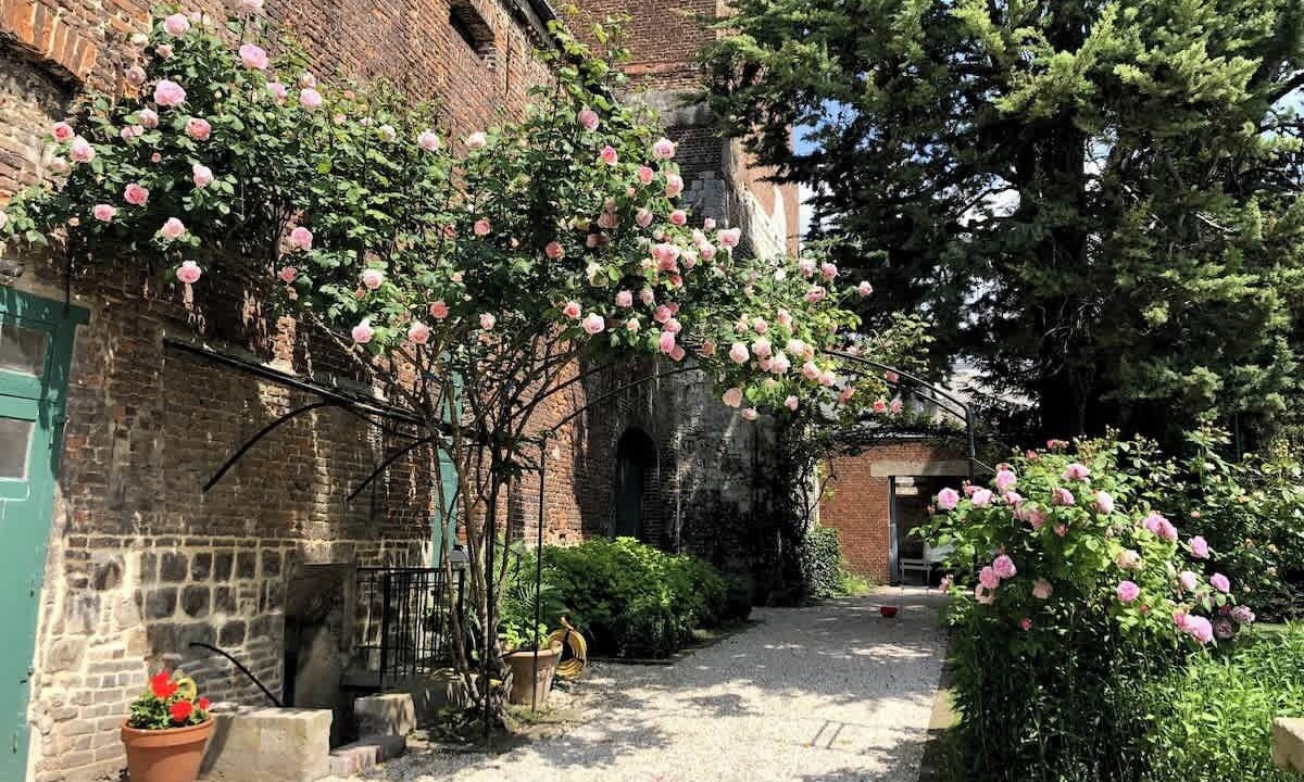 Photo of Others in Arras