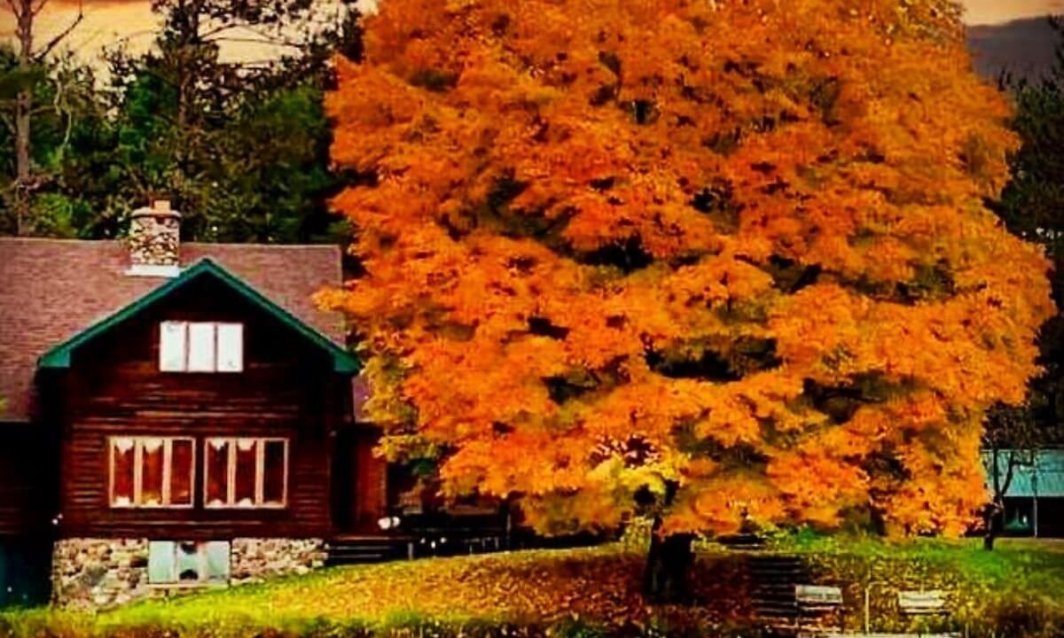 Photo of Outdoor in Park Falls