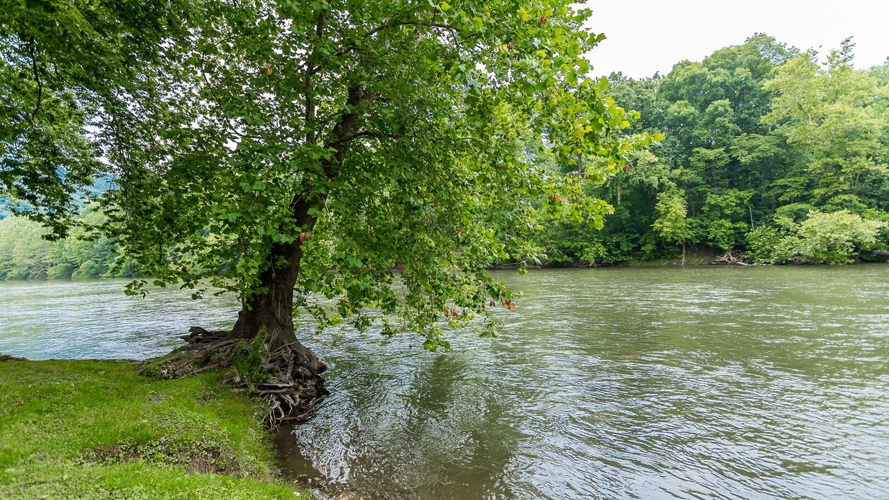 Photo of Outdoor in Shenandoah