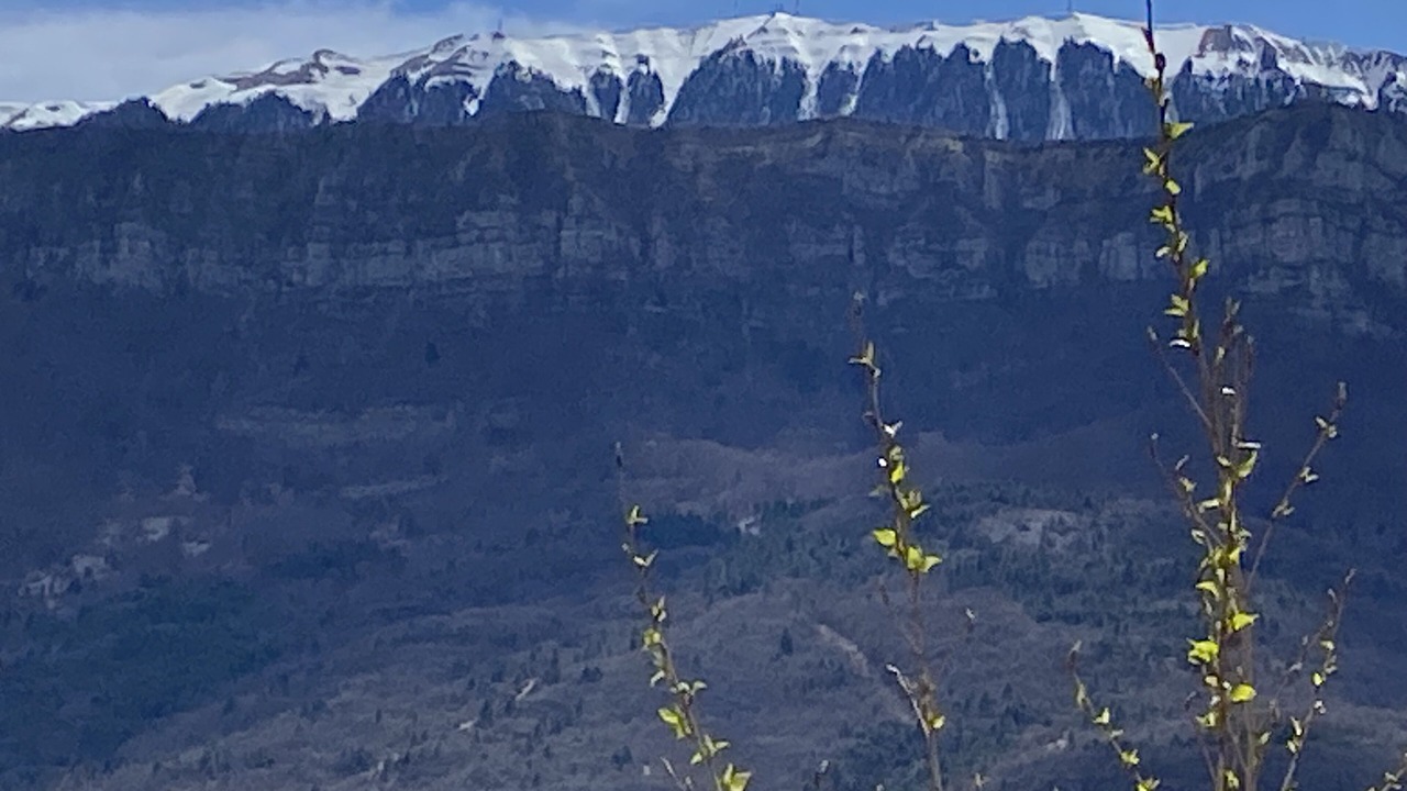 Photo of Others in Chateauneuf-Miravail