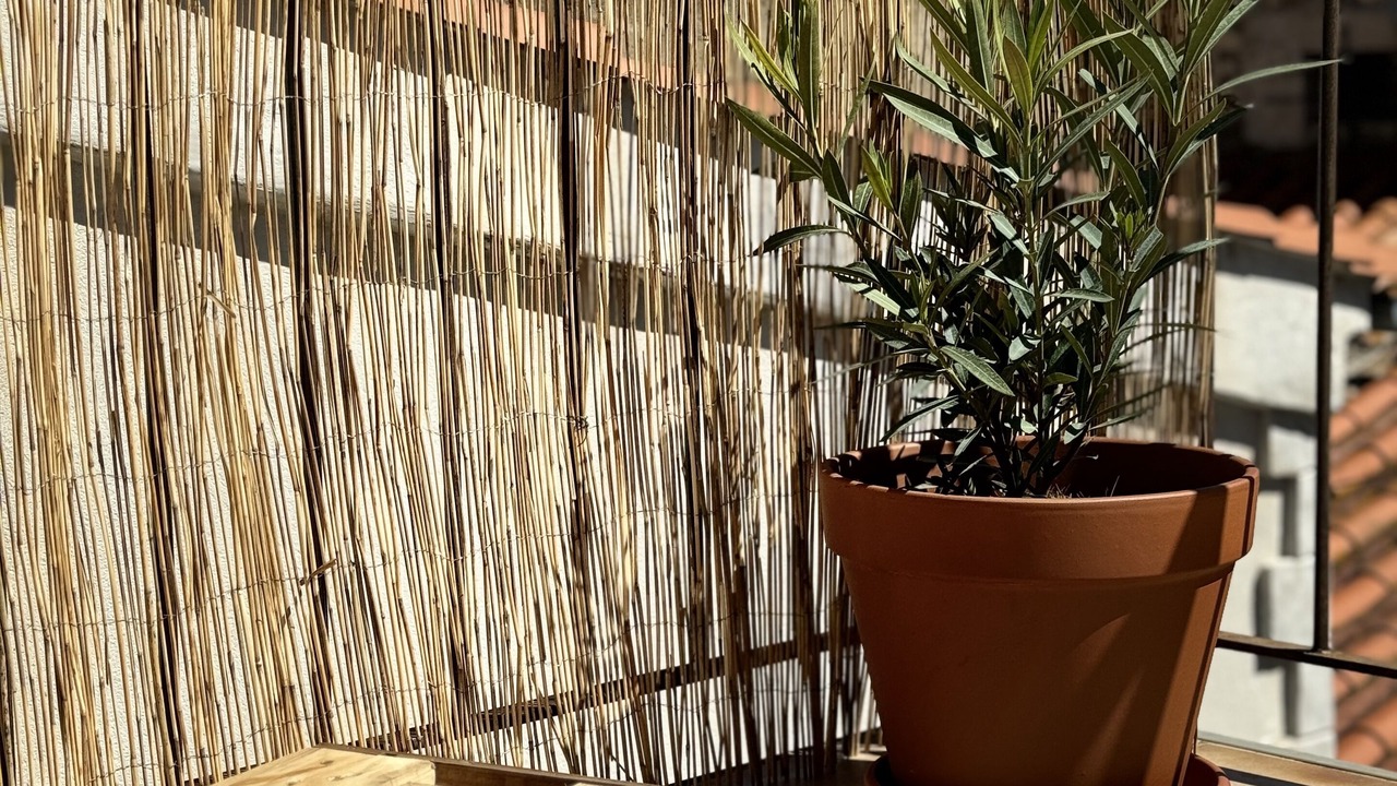 Photo of Outdoor in Peyriac-de-Mer