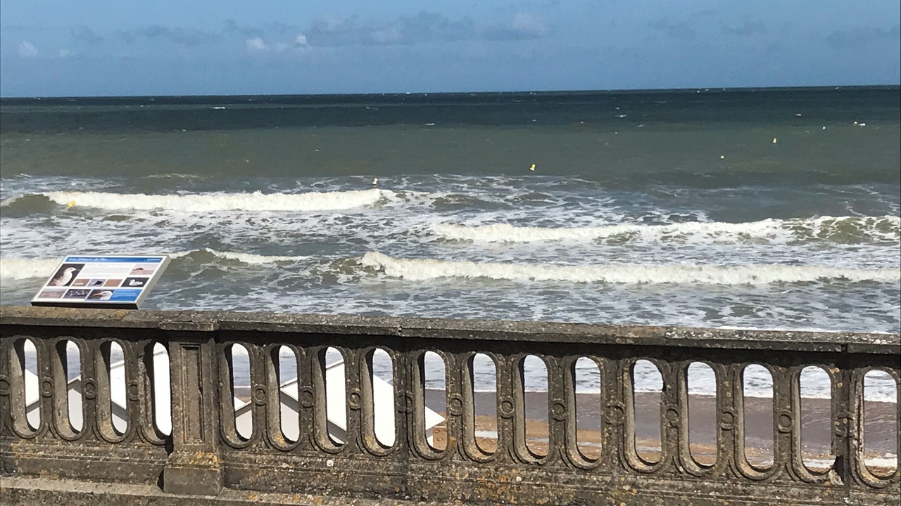 Photo of Others in Cabourg