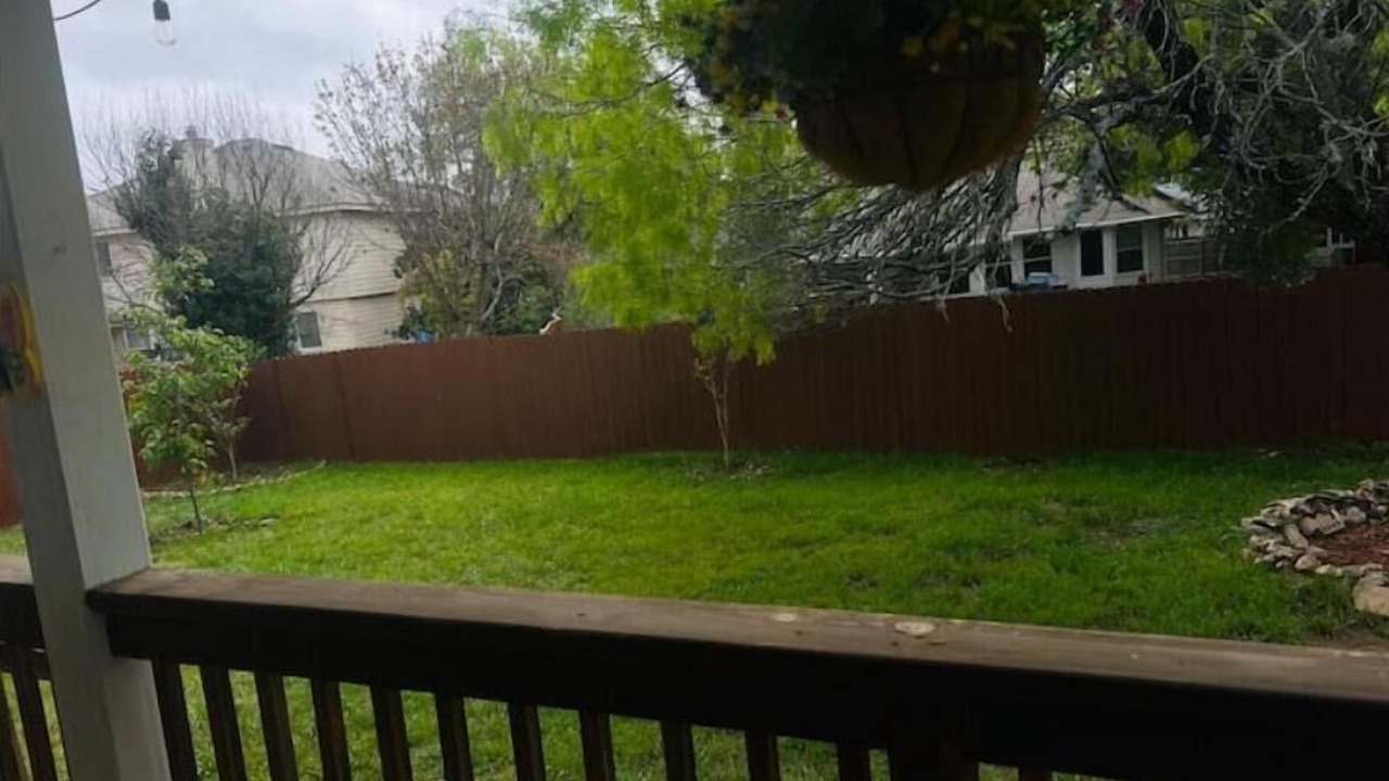 Photo of Outdoor in San Antonio