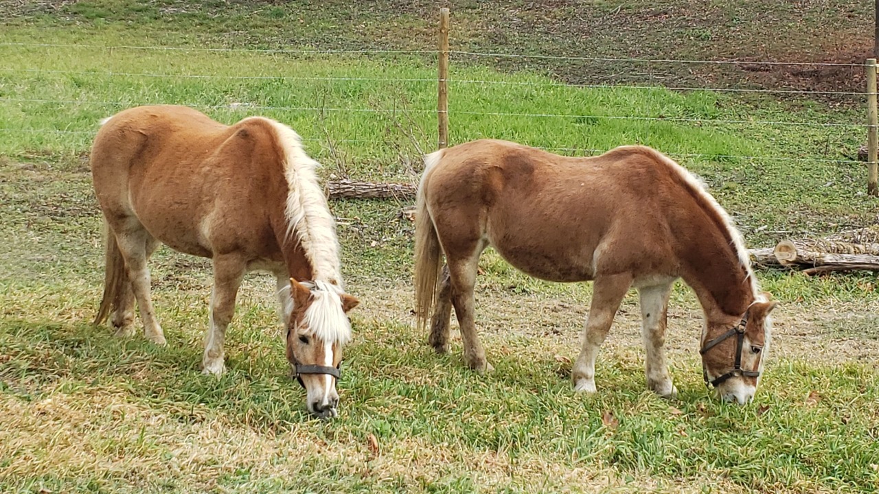 Photo of Others in Port Crane