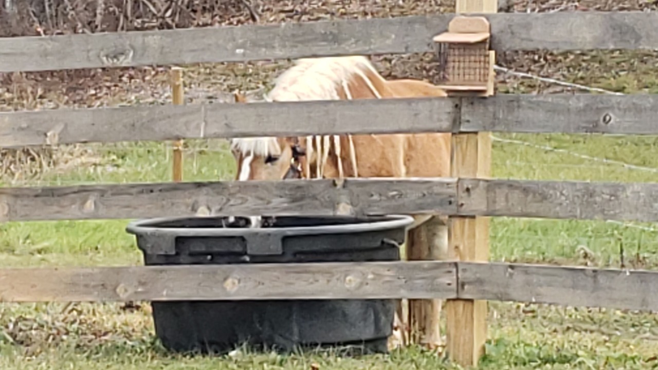 Photo of Others in Port Crane