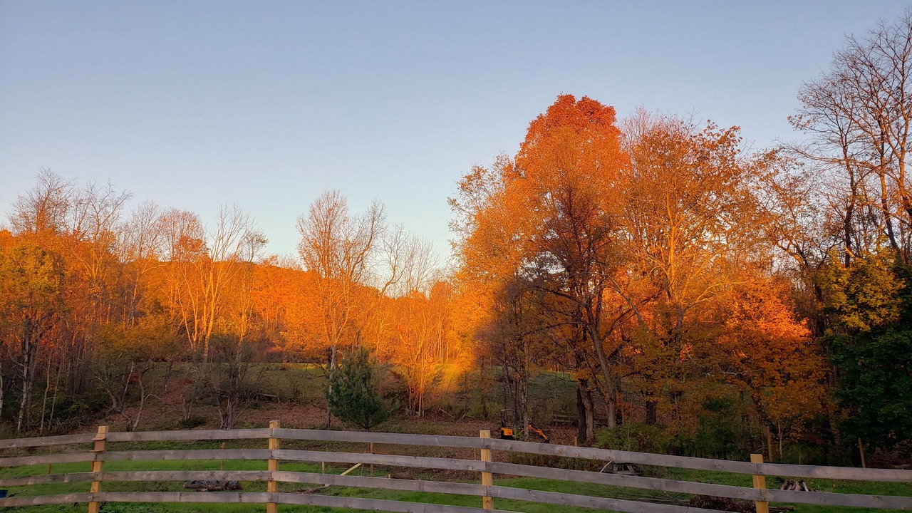Photo of Others in Port Crane