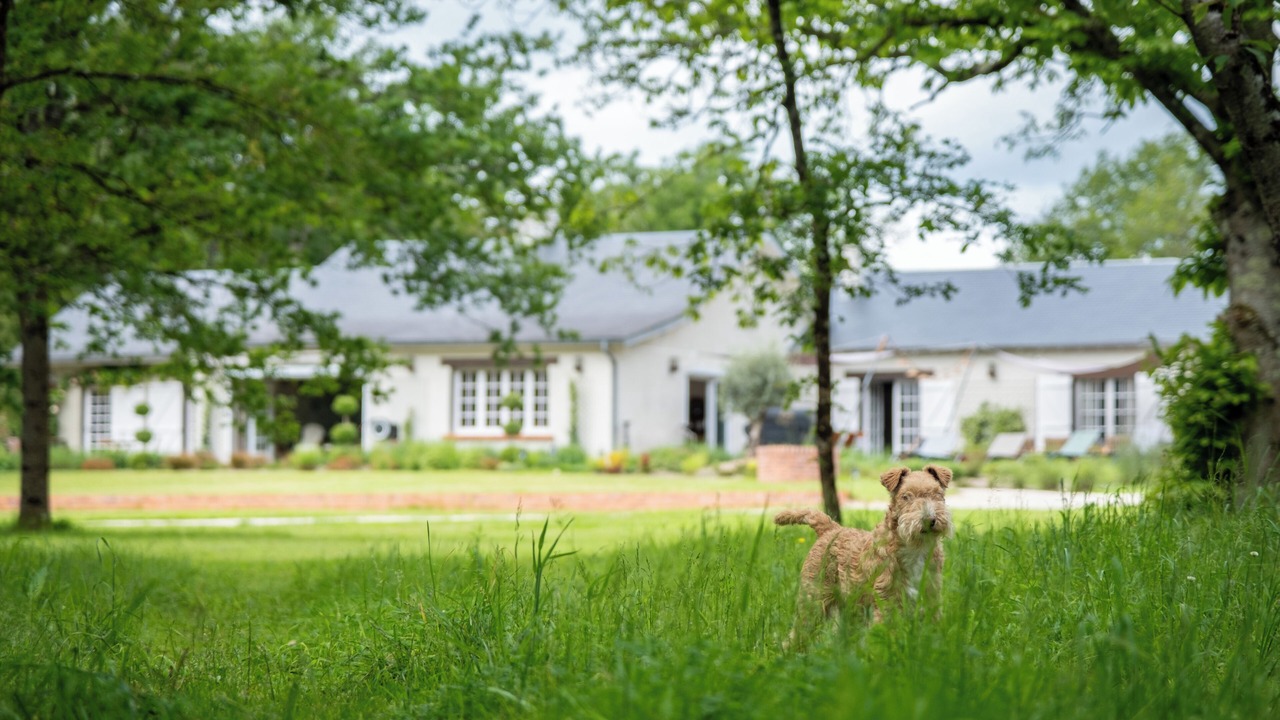 Photo of Outdoor in Pierrefitte-sur-Sauldre