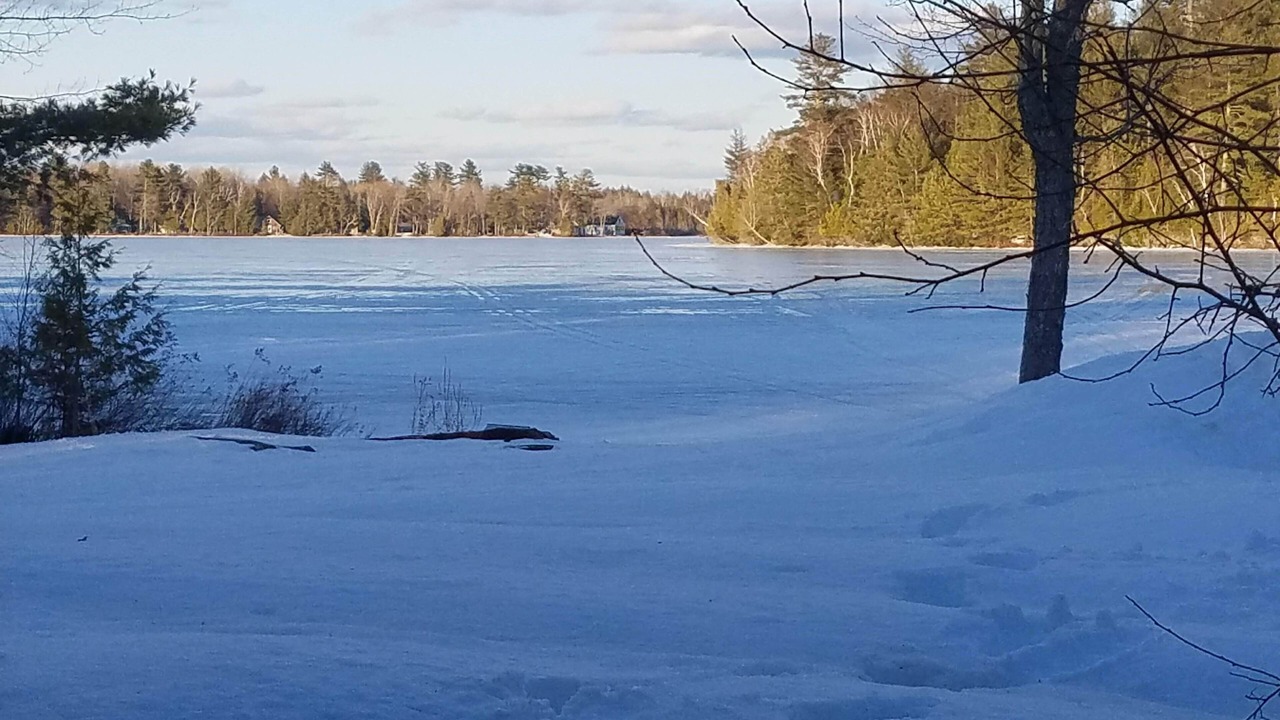 Photo of Others in Plymouth