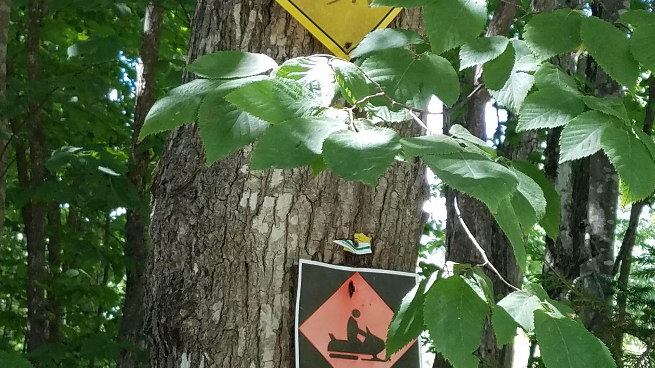 Photo of Outdoor in Plymouth