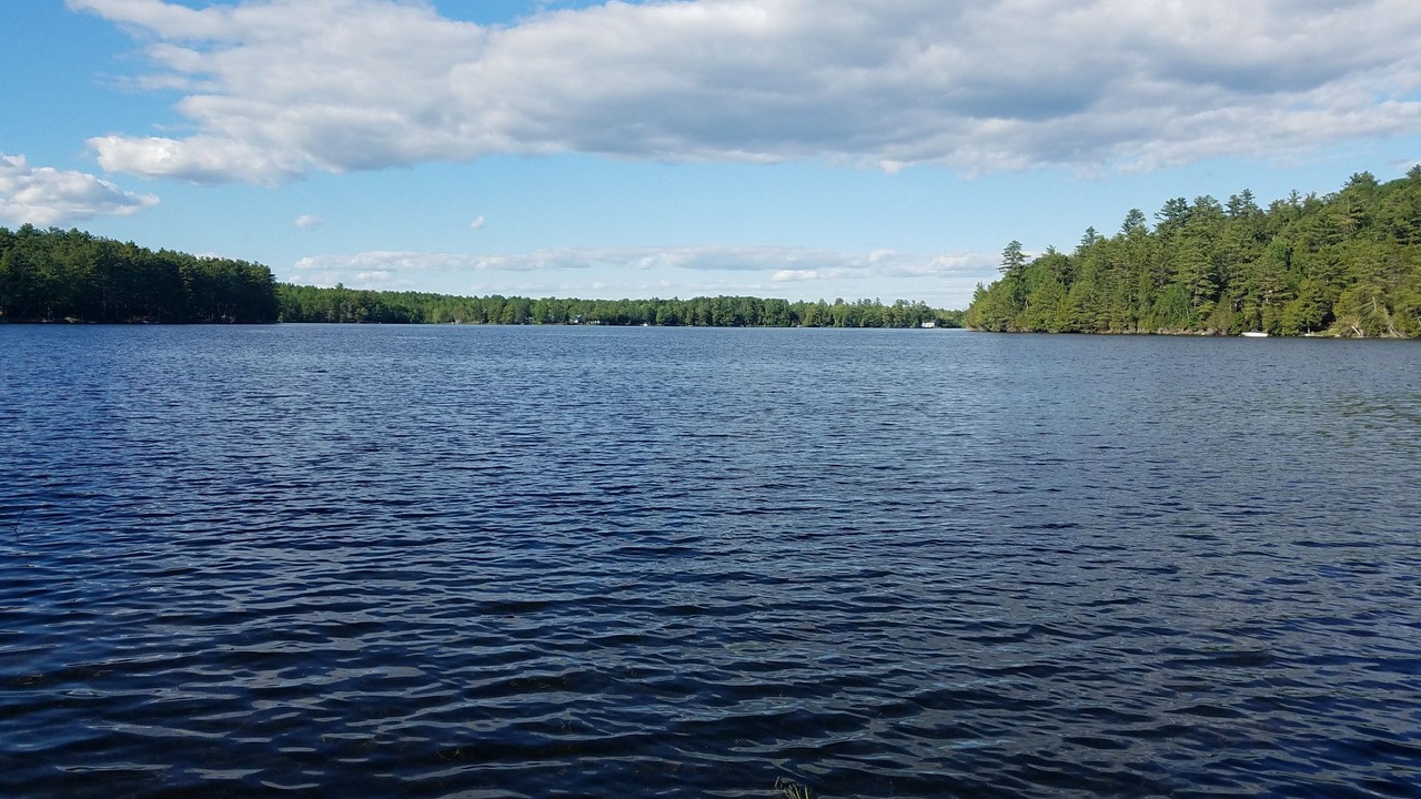 Photo of Others in Plymouth