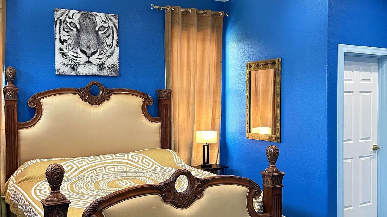 Photo of Bedroom in Alvin