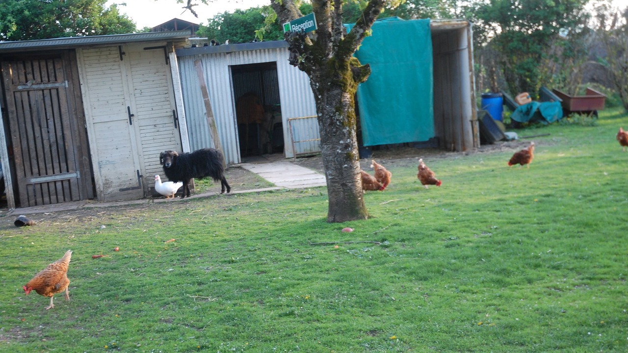 Photo of Outdoor in Treilles-en-Gatinais