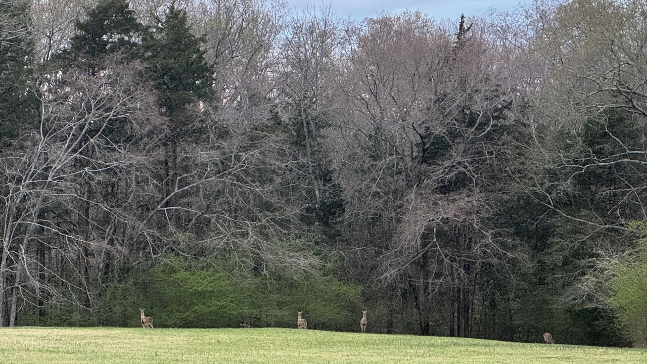 Photo of Others in Lowndesville