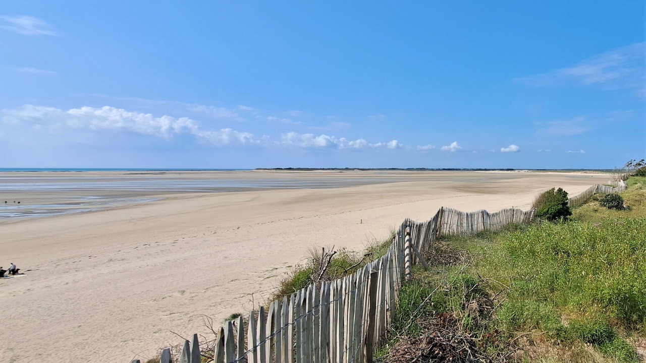 Photo of Others in Dangy