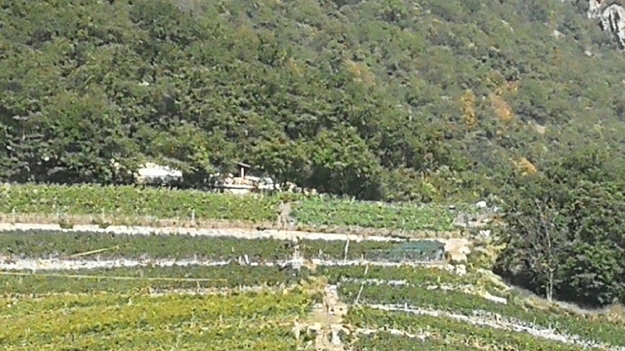 Photo of Outdoor in Fully