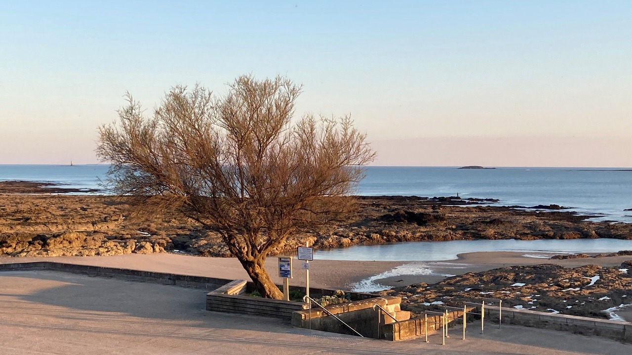 Photo of Others in Pornichet