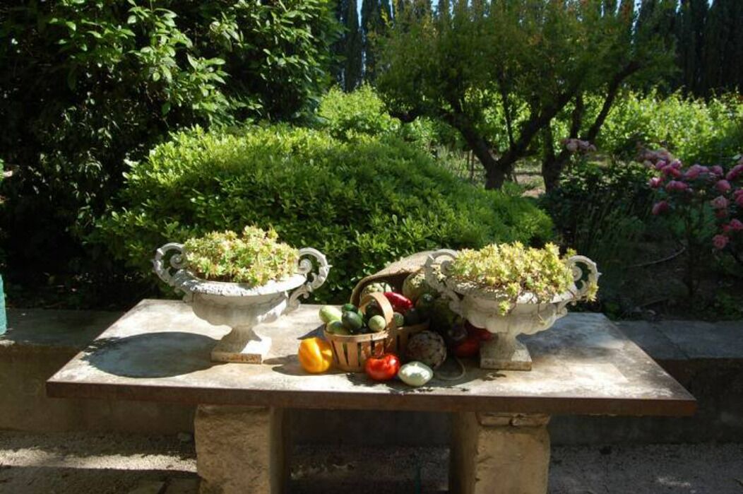 Photo of Outdoor in Vacqueyras